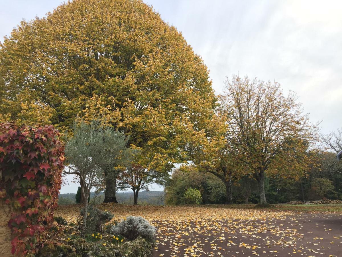 몽티냑 Domaine De Lascaux B&B 외부 사진